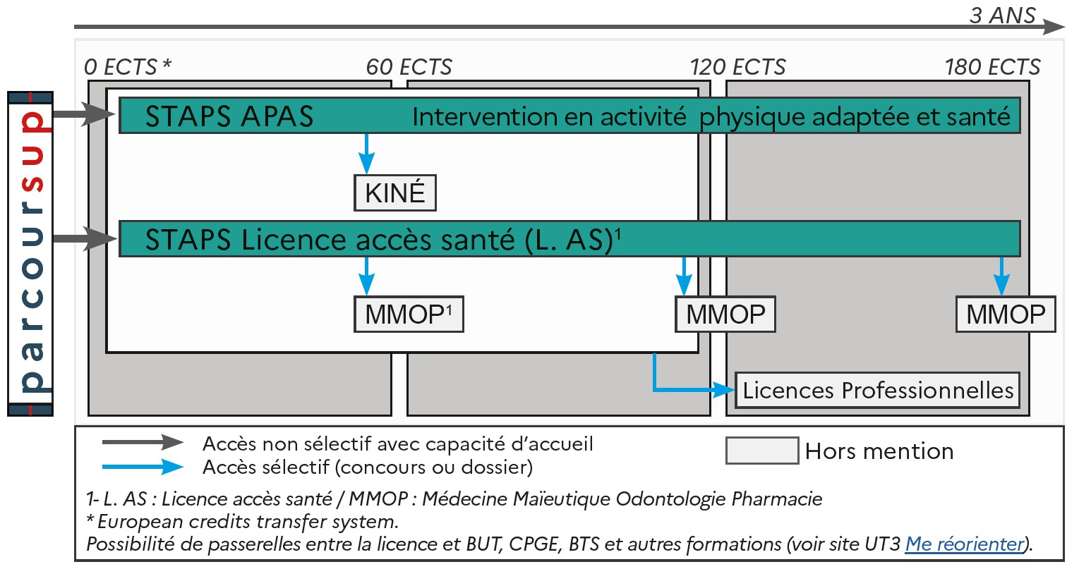 ODF 2024-2025_Mention LicSTPAS_APAS_SCHEMA_SCUIO