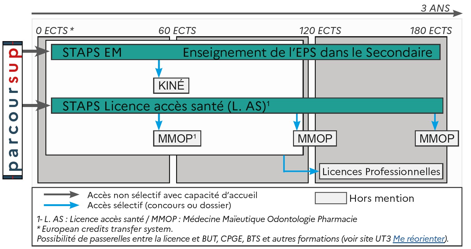 ODF 2024-2025_Mention LicSTPAS_EM_SCHEMA_SCUIO