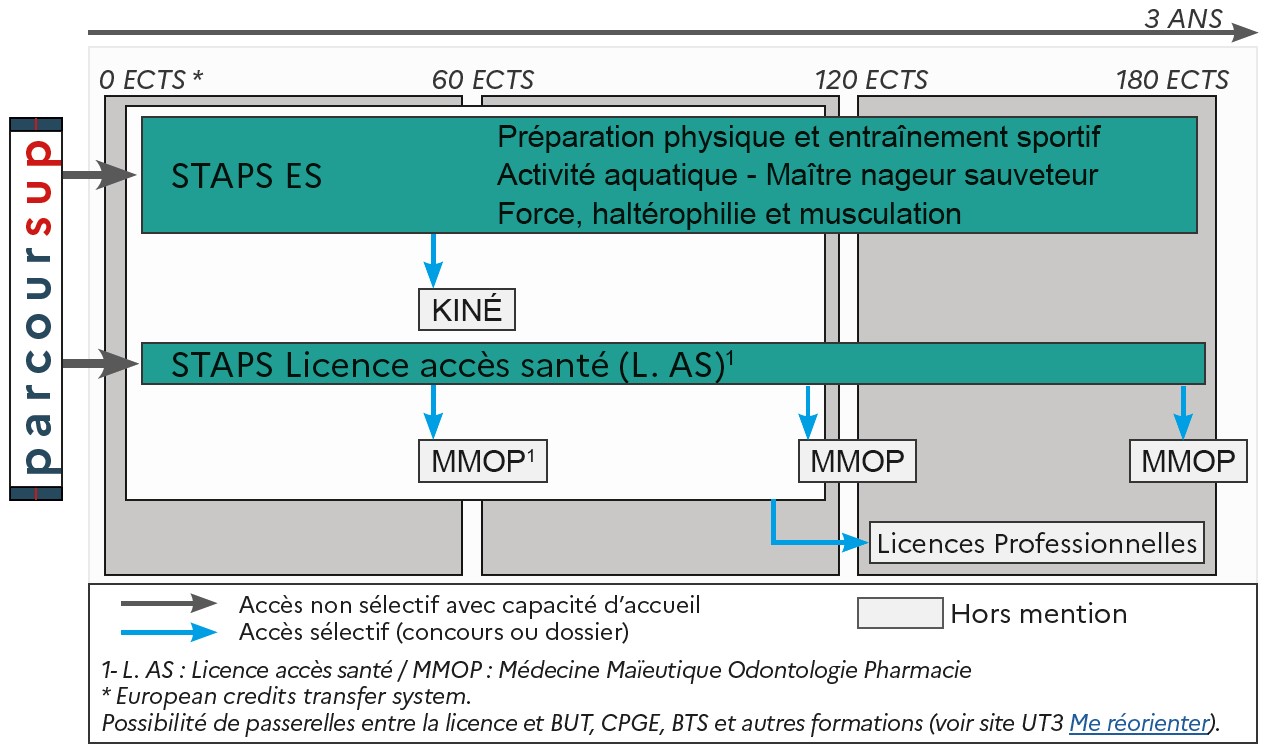 ODF 2024-2025_Mention LicSTPAS_ES_SCHEMA_SCUIO